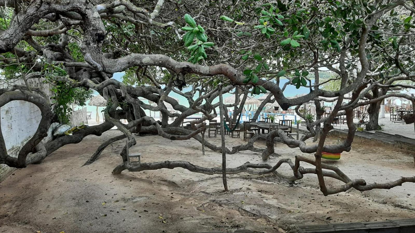 Jangaloa Διαμέρισμα Jijoca de Jericoacoara Εξωτερικό φωτογραφία